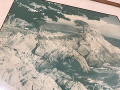 Don Krogh Monterey Cypress Pebble Beach California Photo MID CENTURY Modern ERA