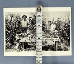 Wisconsin – Menominee River Boom Co. Garden 1895 Fotofolio Art Print Card 4”x6”