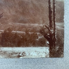 Original C. B. WAITE Photo, Popocatepetl From El Cedral Park, 2/5/1905 5” x 8”