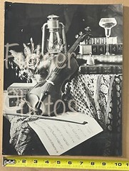 Vintage 11×14 unframed MUSIC & FLORAL Theme VIOLIN FLOWERS & BOOKS Photo Art B&W
