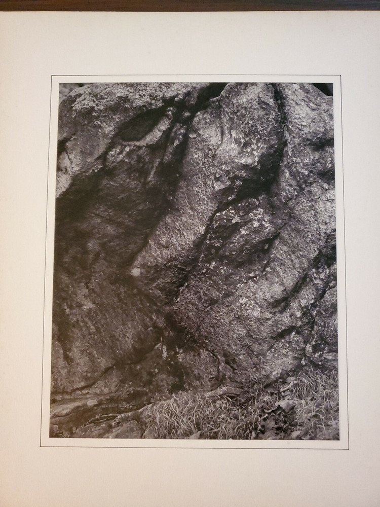 STONE ROCKS GRASS ORIGINAL SIGNED ART PHOTO B&W STETTNER VTG MATTE NJ CAMERA