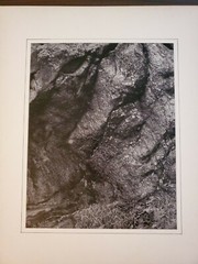 STONE ROCKS GRASS ORIGINAL SIGNED ART PHOTO B&W STETTNER VTG MATTE NJ CAMERA