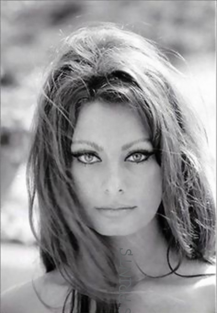 Sophia Loren 8×10 REPRINTS