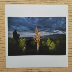 RAGHU RAI – SIGNED PHOTO – MAGNUM SQUARE PRINT