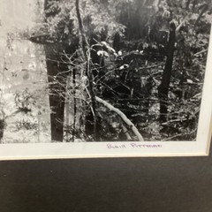 Blair Pittman: «Old River» – Original Gelatin Silver Print Photograph