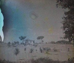 AUTOCHROME Original Color Photo Stereo C1920 Vintage Glass V35L26N1