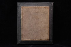 Daguerreotype, Portrait of a Girl, Quarter Plate 9x12cm