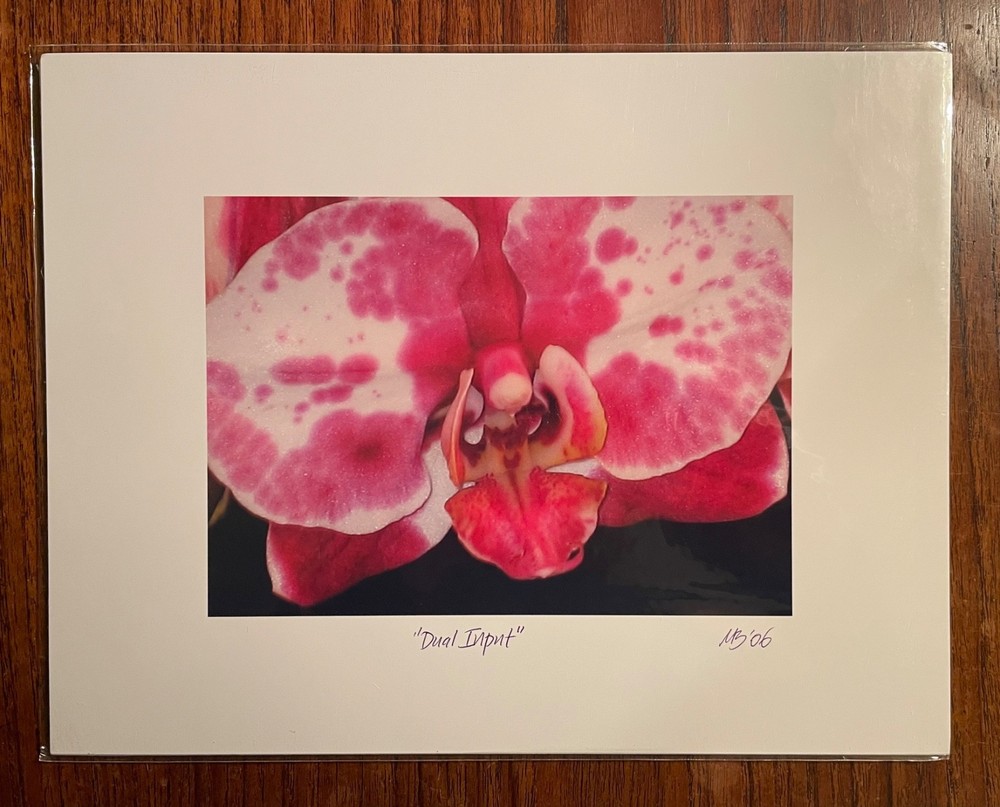 Original photographic print «Duel Input» by Michael Blumenstock
