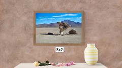 Rock Tree in Uyuni Desert, High Resolution Image, Many Formats, TV Art