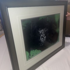 Thomas Mangelsen «Gentle Giant The Silverback» Gorilla Photograph 20″x30″ /2500