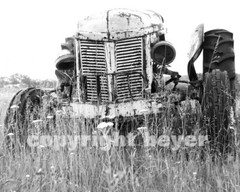 Old Rusty Antique Ford 8N or 9N Tractor Black & White Photograph Print Art 8×10