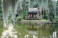 NEW ORLEANS PHOTOGRAPH SIGNED MARITA CAJUN COTTAGE SWAMP MOSS