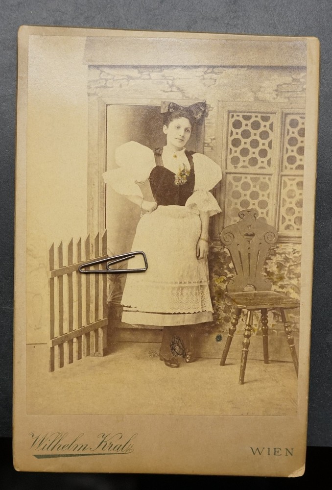 Photo portrait CDV KAB Vienna woman costume model colored color dress cabinet picture