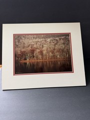 Landscape Photo Print Matted 18”x15” Tree Forrest Cottagecore Farmhouse Country