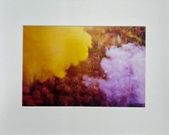Pink & Yellow Shower by Jagjit Singh (Certified and Signed) – 16″x20″ -Protected