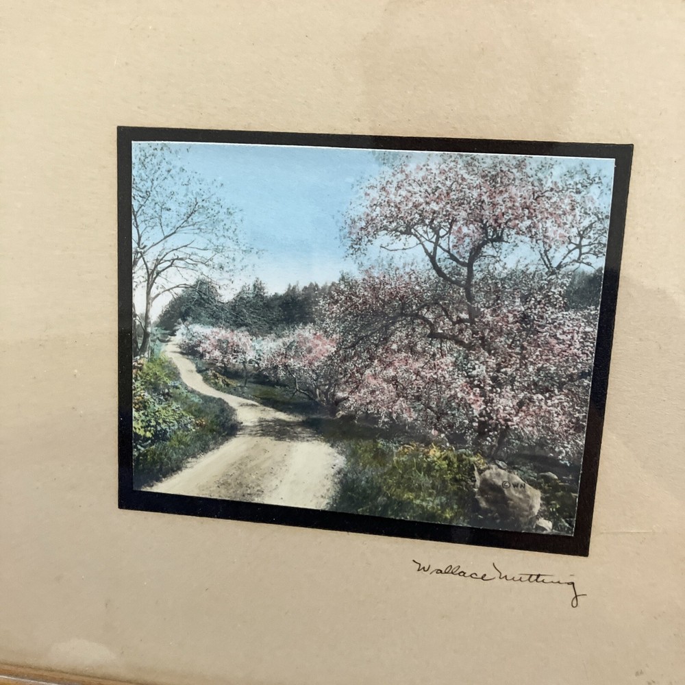 SIGNED WALLACE NUTTING WINDING ROAD w FLOWERING TREES H/TINTED FRAMED PHOTOGRAPH