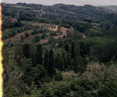 End of roll, Perugia, Italy, 2012-20, 19 x 19in photography by Melanie Gonzalez