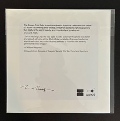 Magnum Square Print by William Wegman: Outward, 1996 (Signed)