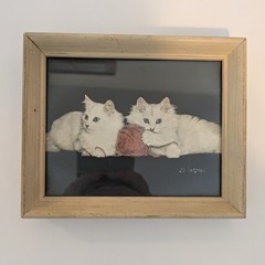 Bradley R Currey Cats Pictures Lot Of 6 White Cats 5.5″ X 4.5″ Piano Books Chair