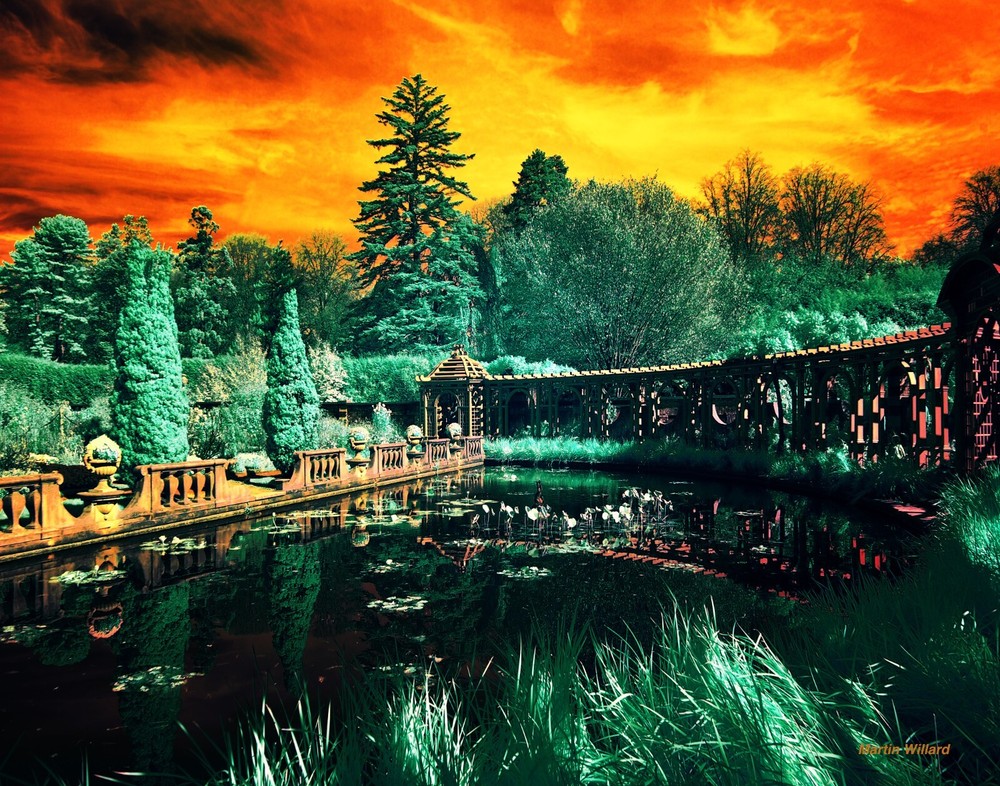Colorful infrared photograph mounted on board. NOT AI.