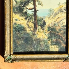 FREDERICK W. MARTIN Hand-Tinted Hand-Color Photo Torrey Pines 8.75″ x 4.75″ VGC