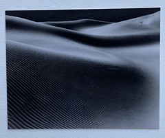 RARE COLLECTION OF 9 PHOTOGRAPHS BY ARTIST ROD DRESSER (Student of Ansel Adams)