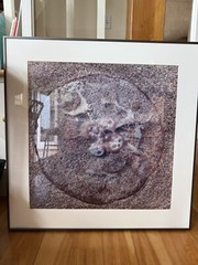 Susan Hockaday Photograph