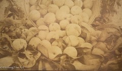 Beautiful Antique Albumen Print Photograph of Bushel of Apples, Lovely!