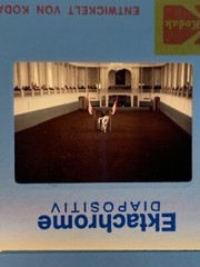 Lot Of 23 1983 Vienna Austria Spanish Riding School Amateur 35mm Color Slides