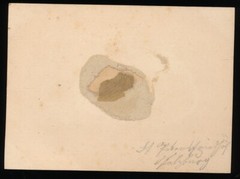 Albumin on Cardboard – View of Salzburg – Circa 1870s