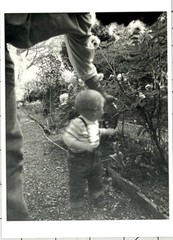 Doug Prince (b. 1943) Case In Flower Garden – 1983 Witkin Gallery Art Photo Card