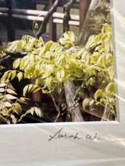 Japanese Garden by Sarah W. Signed Color Photograph, Matted Portrait