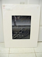 MATTED PHOTOGRAPHY Tree in Lake Nature Water B&W Acid Free 16×20
