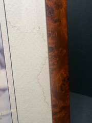Harry Bowden Signed & Numbered 3/750 Photograph «A Face in the Foliage» Cougar