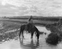 Frank Smith, Watering His Horse, by Erwin E. Smith Photograph Print 8″x10″