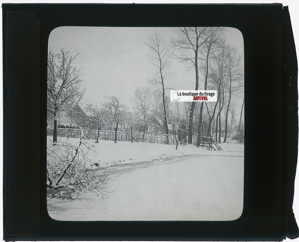 Landscape, Snow, Winter, Vintage Photo Glass Plate, Black & White, 8.5×10 Cm
