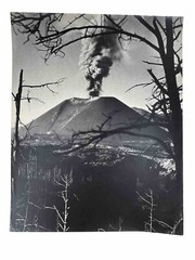 VTG Large Black & White Photograph Photography Print Parícutin Volcanic Eruption