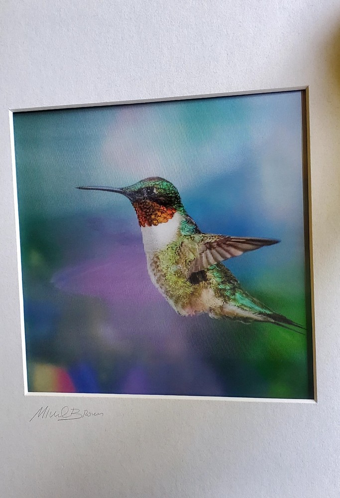 «HUMMINGBIRD in Flight» in by Michael Brown Lenticular 3-D Picture Signed