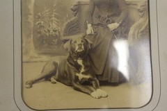 19th Century German Photo of Woman & Dog in Original Mat & Frame 18″