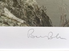 BRUCE BLUM SIGNED SEPIA Photo Print (19″X 24 «)-«Tree on Ledge»