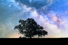 Milky Way Galaxy, 21×16”