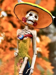 Sexy Catrina Day of the Dead Mexican Folk Art Photography