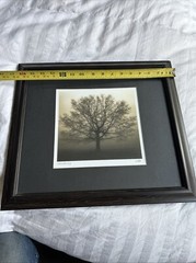 Richard Calvo «Awakening» Glass framed Photo Print 8”x8” OD 15”X7” Signed