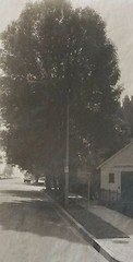 SIGNED, DATED by MADOKA TAKAGI – Vintage Platinum Photograph – Silver Lake LA