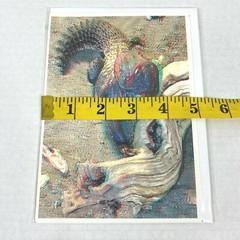 Mali Spiny Tailed Lizard Reptile 3D Photograph Art Phantom Image Barry Rothstein