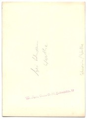 Photograph W. Apel, Berlin, view Schwerin/Warthe, Birch Forest