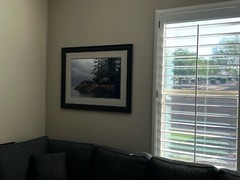 Thomas D. Mangelsen Guardian of Knight Inlet Rainforest Landscape Framed Photo