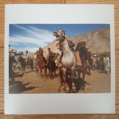 Chris Steele-Perkins – Signed Photo – Magnum Square Print Limited