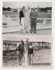 2 x Photo Postcard Polar Bear on the Beach 1930s