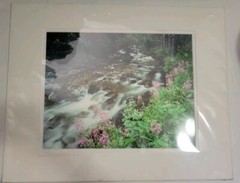 Don Ament «Running Through My Mind»Signed Matted Nature Creek Photograph 16″x20»
